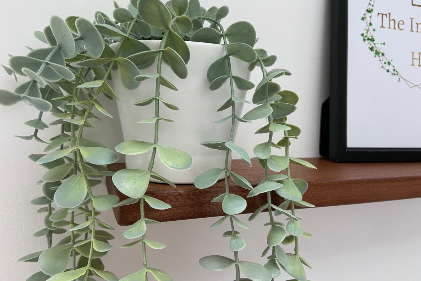 Slim Sapele Floating Shelf - For Plasterboard Dot and dab walls - Smooth Finish 10cm Deep x 2cm Thick